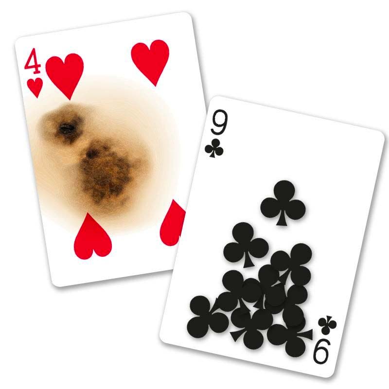 Bicycle - Super Gaff Deck - immagine 3
