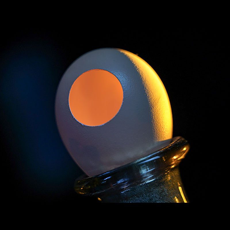 SILK TO EGG - immagine 7