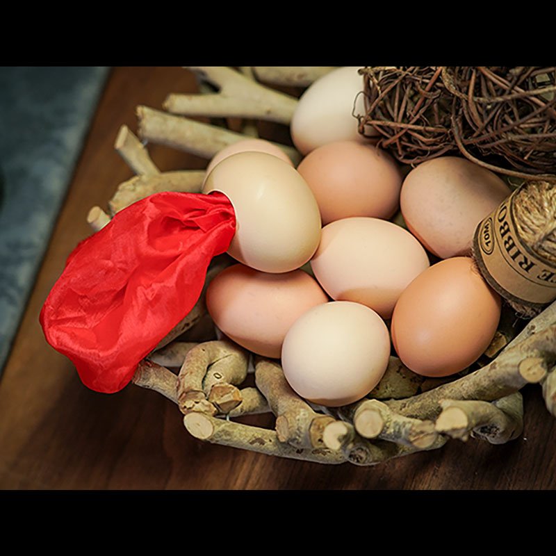 SILK TO EGG - immagine 3